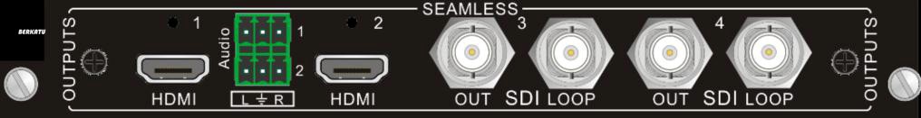 BERKATU柏卡圖 4路HDMI&SDI無縫輸出信號(hào)卡 BERKATU柏卡圖 4路HDMI&SDI無縫輸出信號(hào)卡